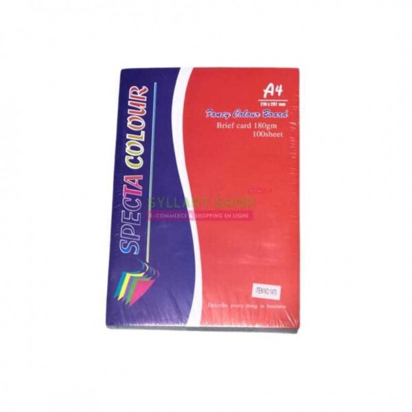 Papier Bristol A4 – 100 feuilles – Couleurs assorties (Blanc, Jaune, Vert, Rose)