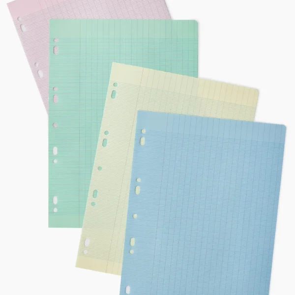Feuilles Mobiles Perforées – 100 Pages